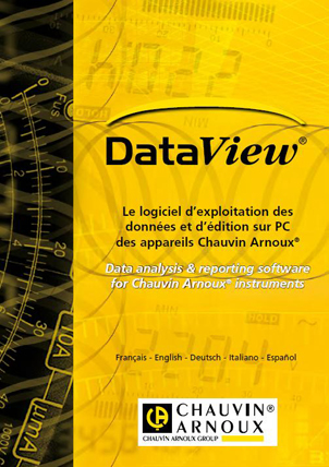dataview