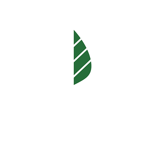 Graphic of a hand holding a half-colored green leaf, with text above saying 'Green Light Trust'